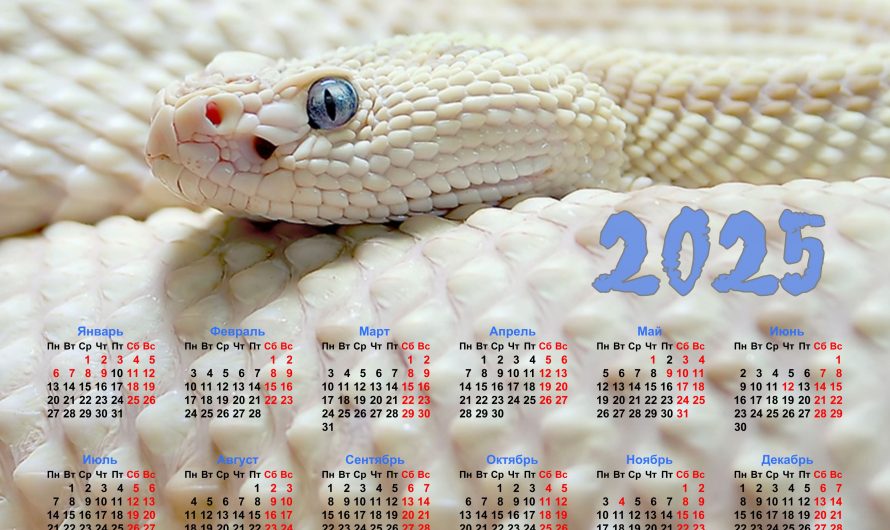Календари на 2025 год со Змеёй — скачать