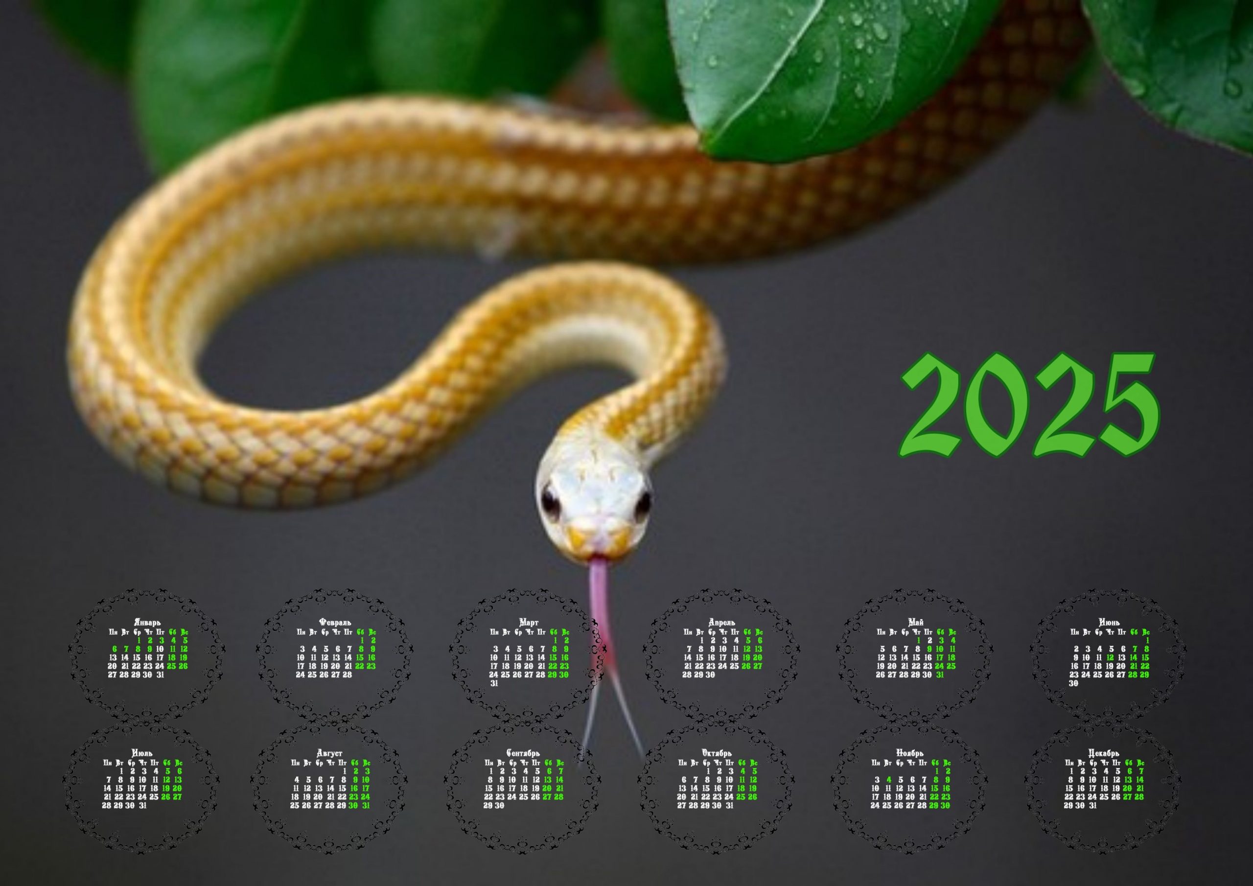 Календари со Змеёй - символом 2025 года