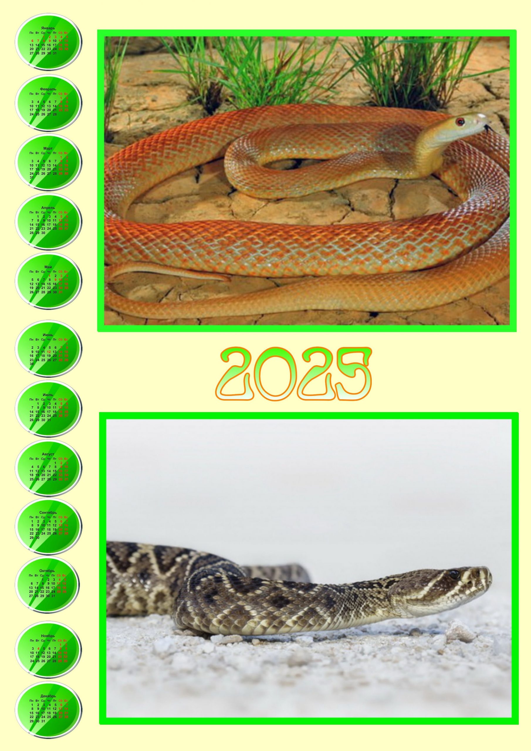 Календари со Змеёй - символом 2025 года